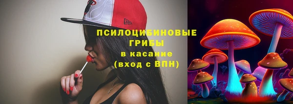 молекула духа Магас