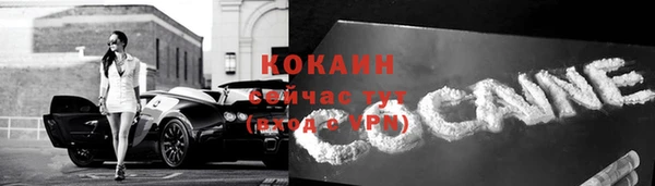 гашик Вяземский