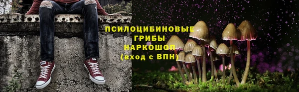 метадон Мегион