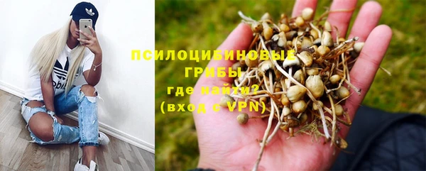 метадон Мегион