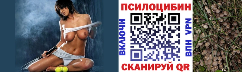 Псилоцибиновые грибы GOLDEN TEACHER Шатура