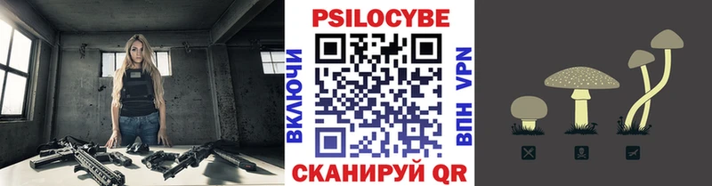 MEGA маркетплейс  как найти   Шатура  Псилоцибиновые грибы GOLDEN TEACHER 