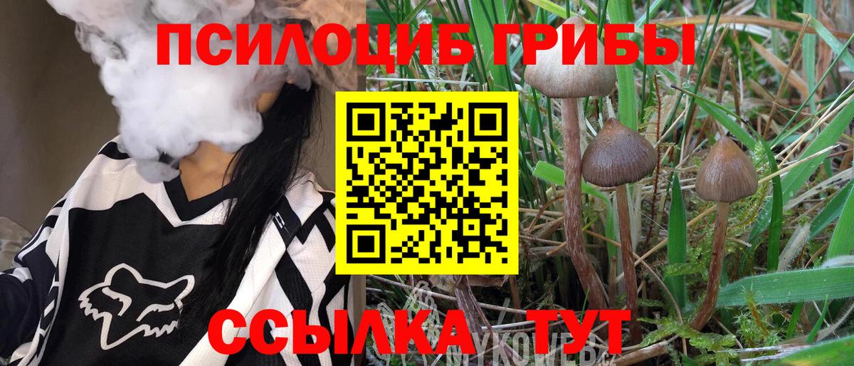Шатура  Галлюциногенные грибы GOLDEN TEACHER  Псилоцибиновые грибы Psilocybine cubensis  Вход с VPN 