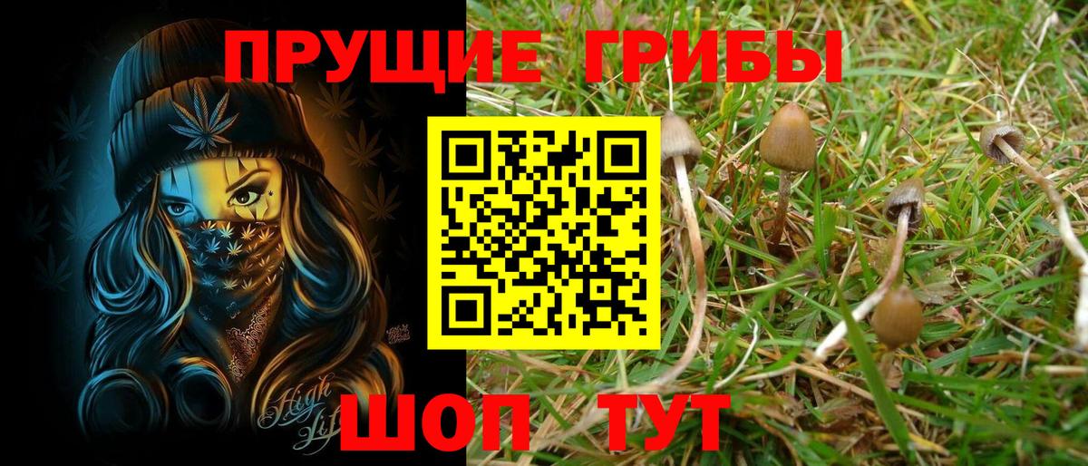 Галлюциногенные грибы мухоморы  Шатура 